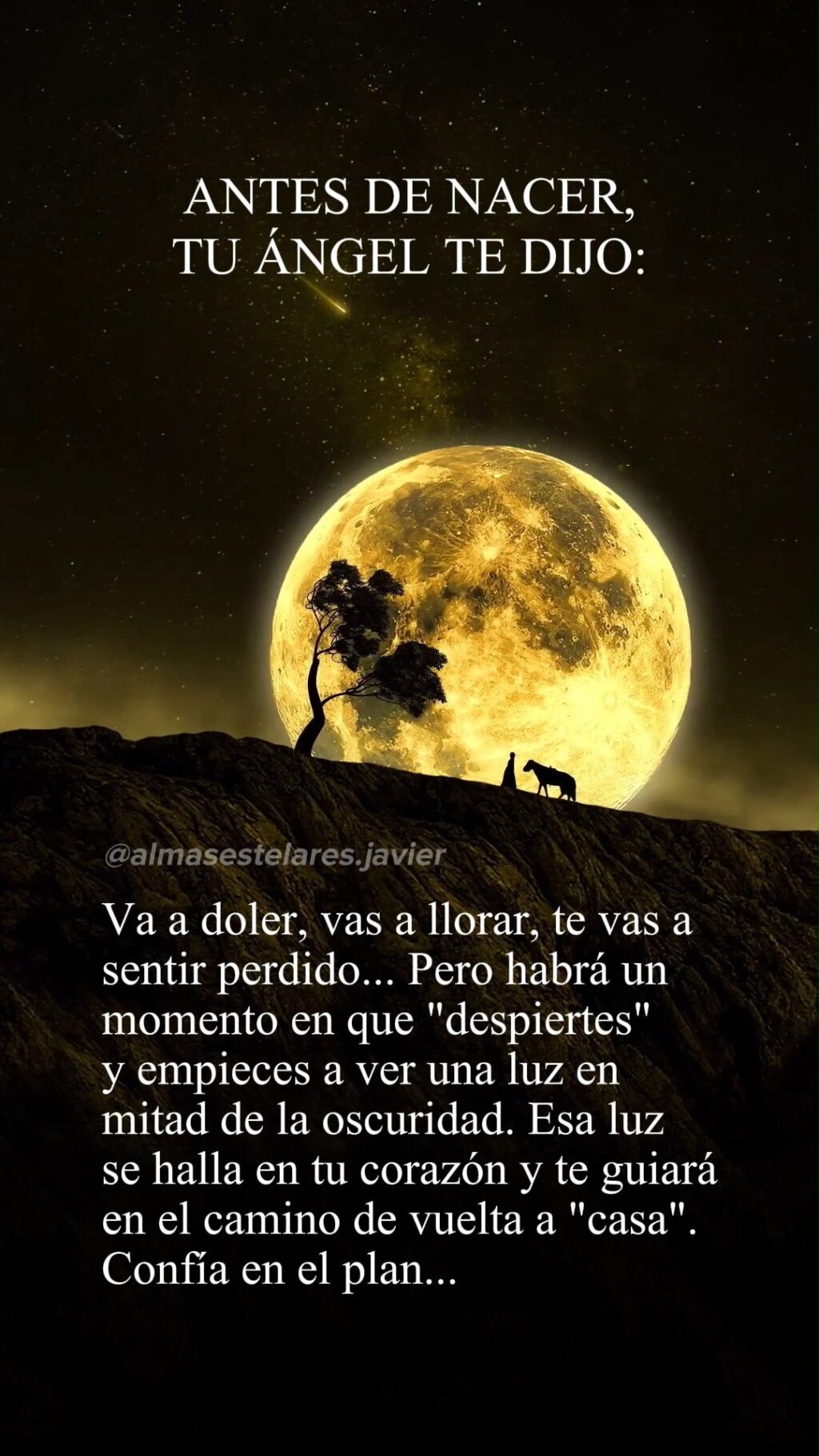 Instagram post from almasestelares.javier. This post is in position 4.