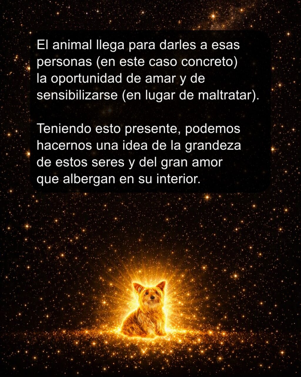 Instagram post from almasestelares.javier. This post is in position 7.
