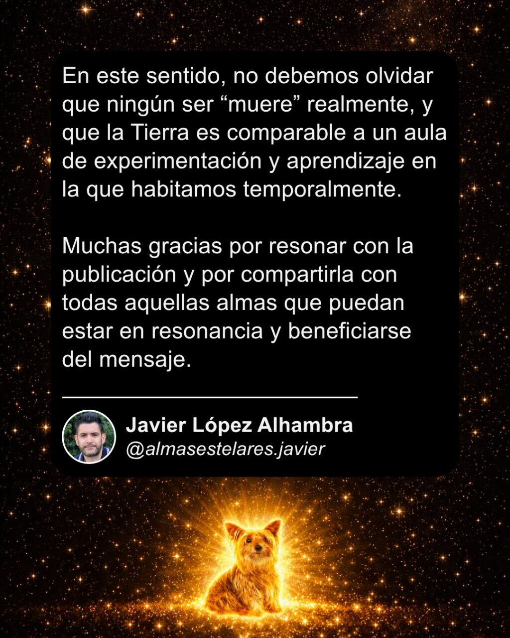 Instagram post from almasestelares.javier. This post is in position 9.