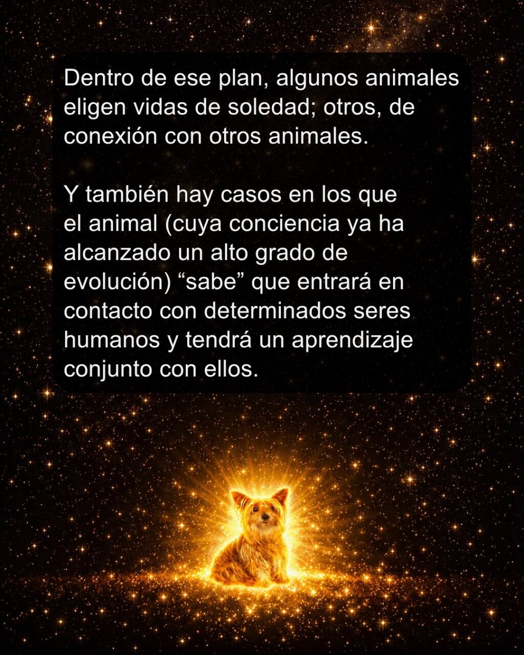 Instagram post from almasestelares.javier. This post is in position 4.