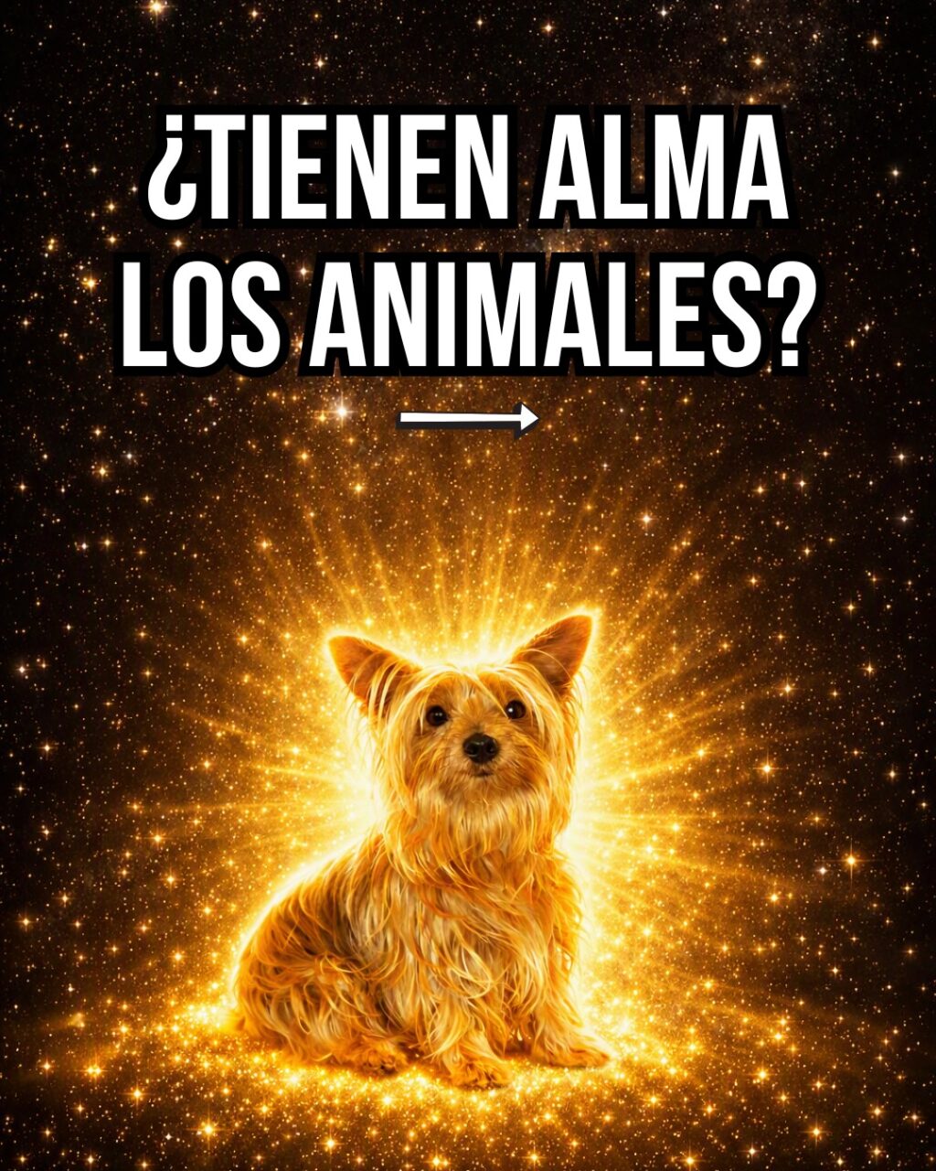 Instagram post from almasestelares.javier. This post is in position 0.