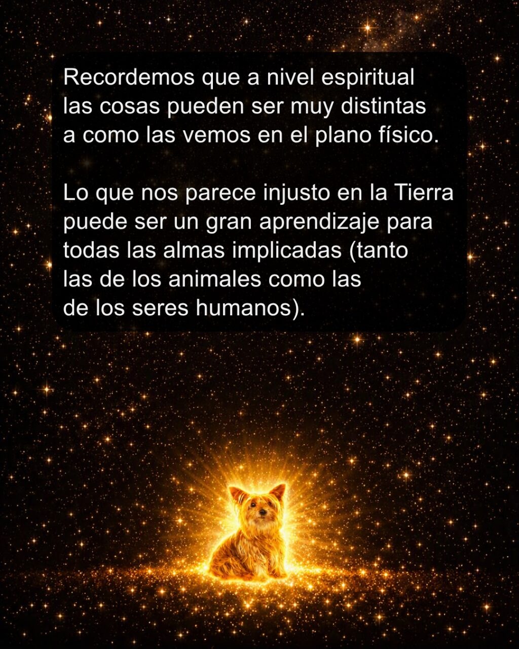 Instagram post from almasestelares.javier. This post is in position 8.