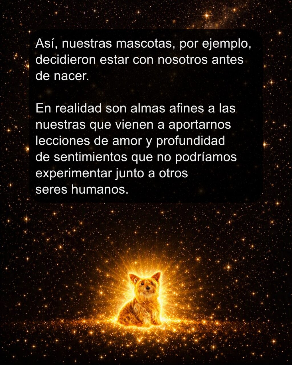 Instagram post from almasestelares.javier. This post is in position 5.