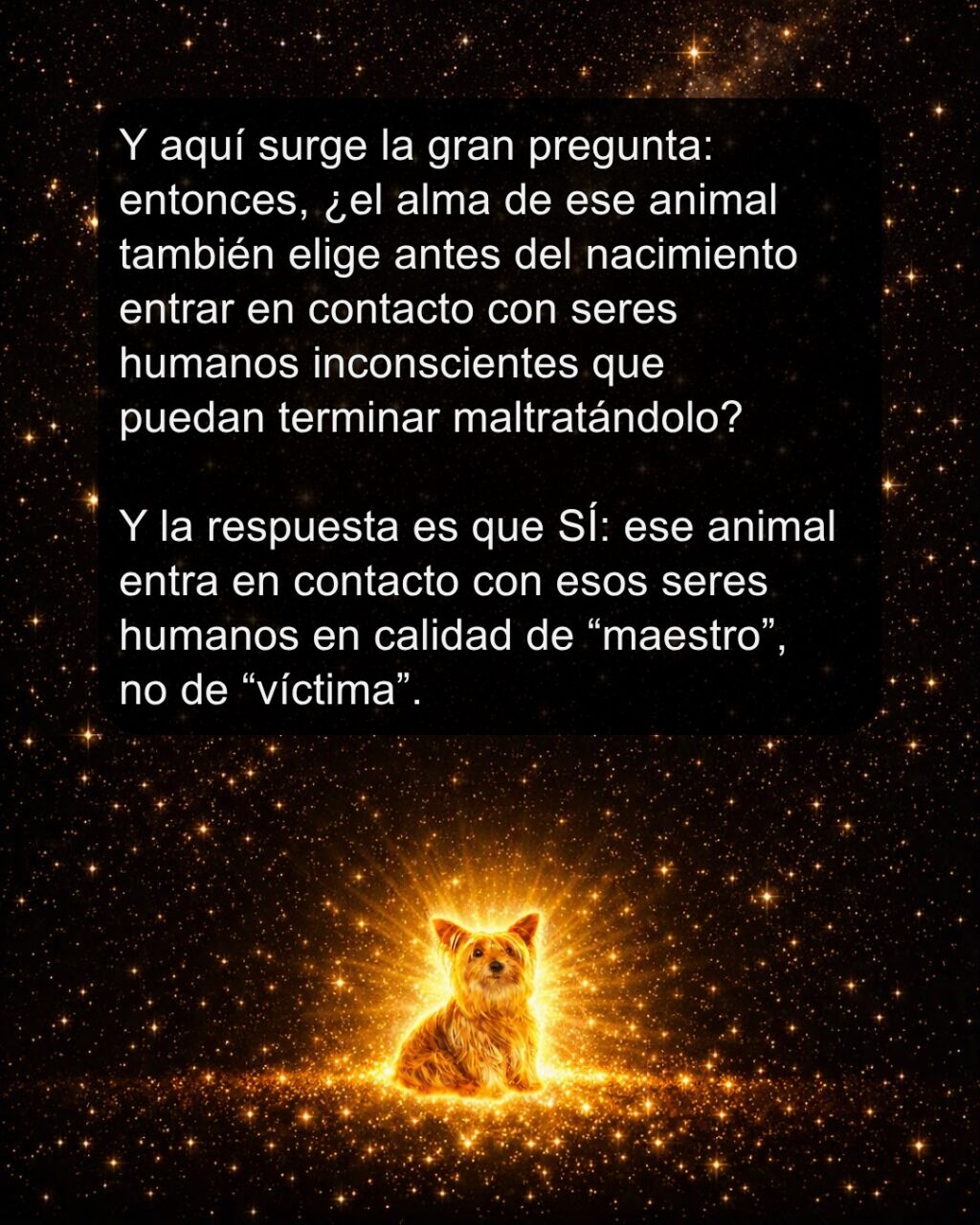 Instagram post from almasestelares.javier. This post is in position 6.
